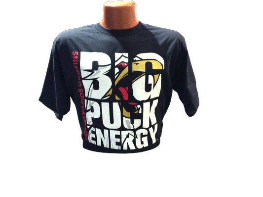Big Puck Energy